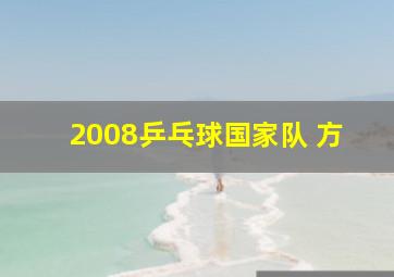 2008乒乓球国家队 方